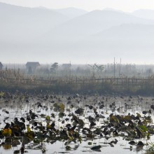 Πρωινό στην Λίμνη Ινλε