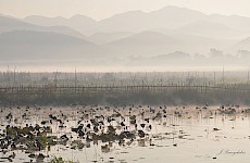 Λίμνη Ίνλε - Μιανμάρ