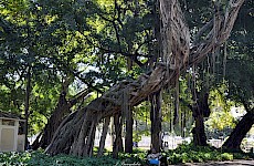 Ρίο Ντε Τζανέιρο - Βραζιλία