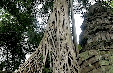 Ανγκόρ - Καμπότζη