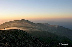 Ψηλορείτης