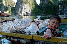 Χα Λονγκ ( Βιετνάμ )