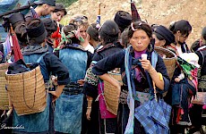 Sa Pa  ( Βιετνάμ )