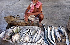 Αλ Χουτάιντα ( Υεμένη )