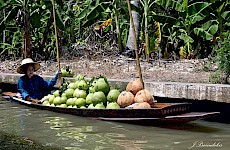 Πλωτή αγορά Νταμνόεν  Σαντουάκ  ( Ταιλάνδη )
