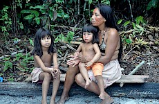 Αμαζόνιος ( Βραζιλία )