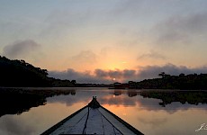 Αμαζόνιος ( Βραζιλία )